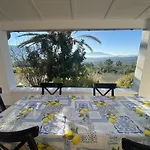 Palmeras