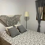 Palmeras بيزارا