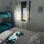 Palmeras *