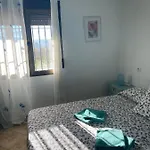Palmeras * بيزارا