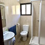 Palmeras بيزارا