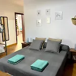 Palmeras بيزارا