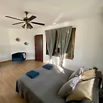 Palmeras *