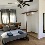 Palmeras بيزارا