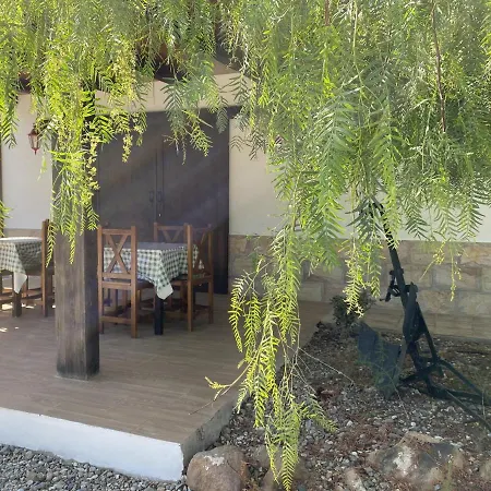 Palmeras Holiday home *